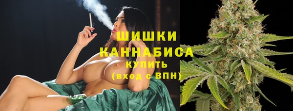 ALPHA PVP Осинники