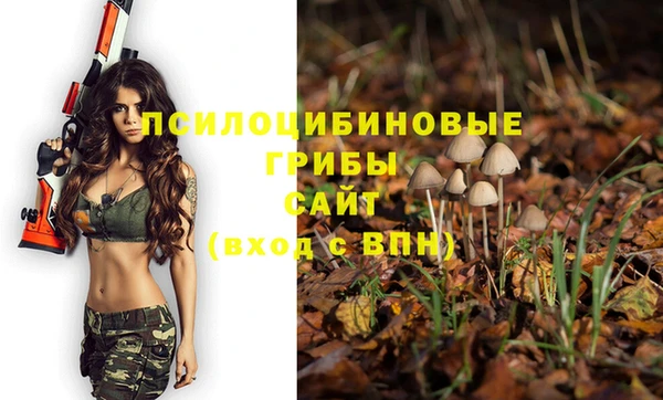 дурь Баксан