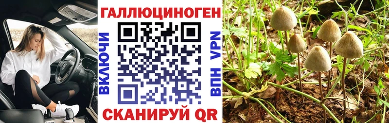 мега tor  Нижние Серги  Псилоцибиновые грибы GOLDEN TEACHER 